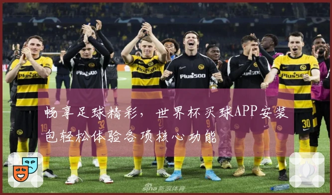 畅享足球精彩，世界杯买球APP安装包轻松体验各项核心功能