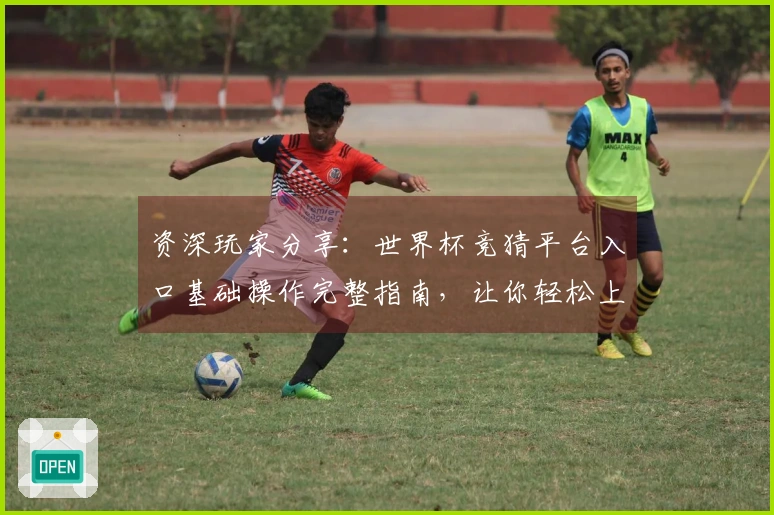 资深玩家分享：世界杯竞猜平台入口基础操作完整指南，让你轻松上手。