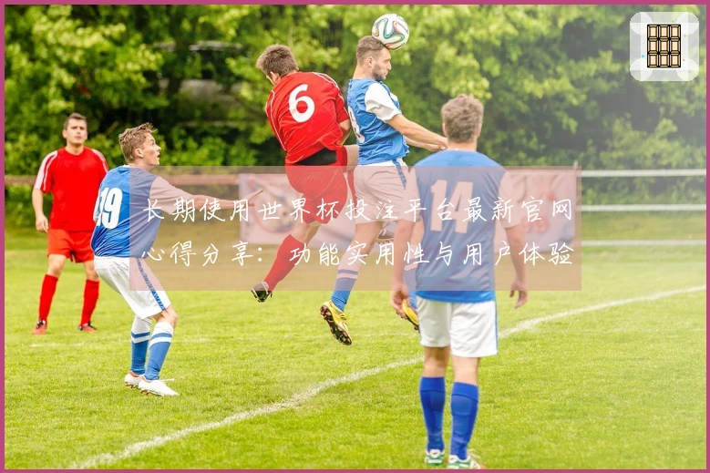 长期使用世界杯投注平台最新官网心得分享：功能实用性与用户体验评测