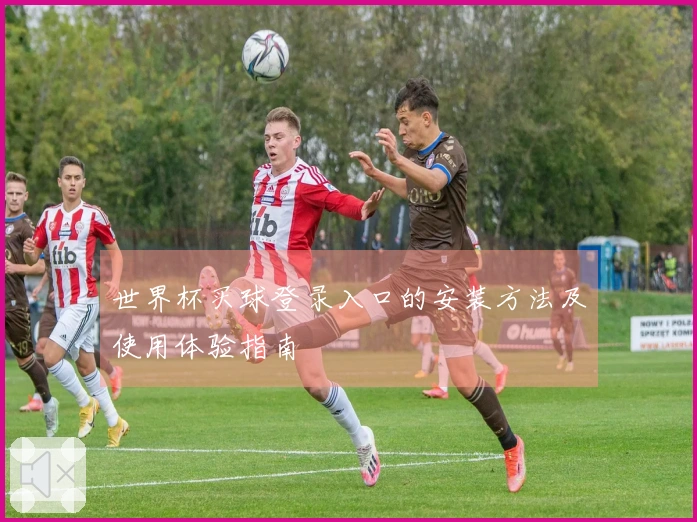 世界杯买球登录入口的安装方法及使用体验指南