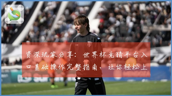 资深玩家分享：世界杯竞猜平台入口基础操作完整指南，让你轻松上手。