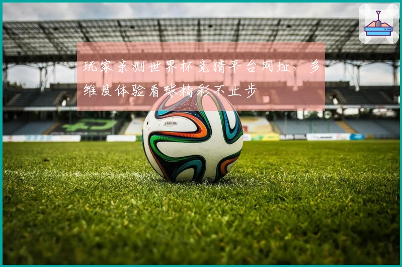玩家亲测世界杯竞猜平台网址，多维度体验看球精彩不止步