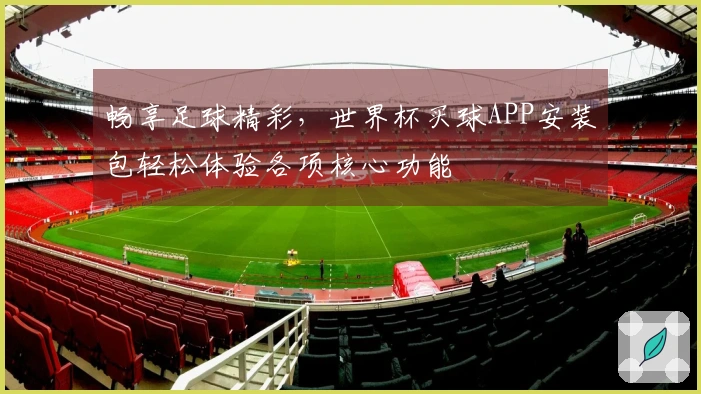 畅享足球精彩，世界杯买球APP安装包轻松体验各项核心功能