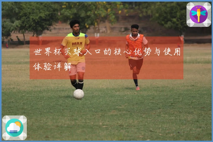 世界杯买球入口的核心优势与使用体验详解